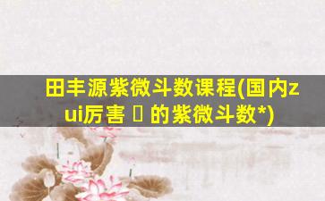 田丰源紫微斗数课程(国内zui
厉害 ☘ 的紫微斗数*
)